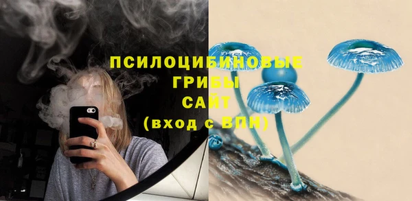 мяу мяу мука Алексеевка